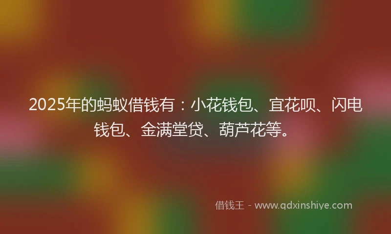 2025年的蚂蚁借钱有：小花钱包、宜花呗、闪电钱包、金满堂贷、葫芦花等。