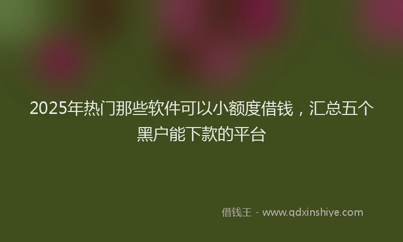 2025年热门那些软件可以小额度借钱,汇总五个黑户能下款的平台