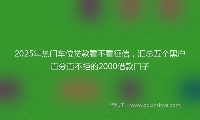 2025年热门车位贷款看不看征信,汇总五个黑户百分百不拒的2000借款口子