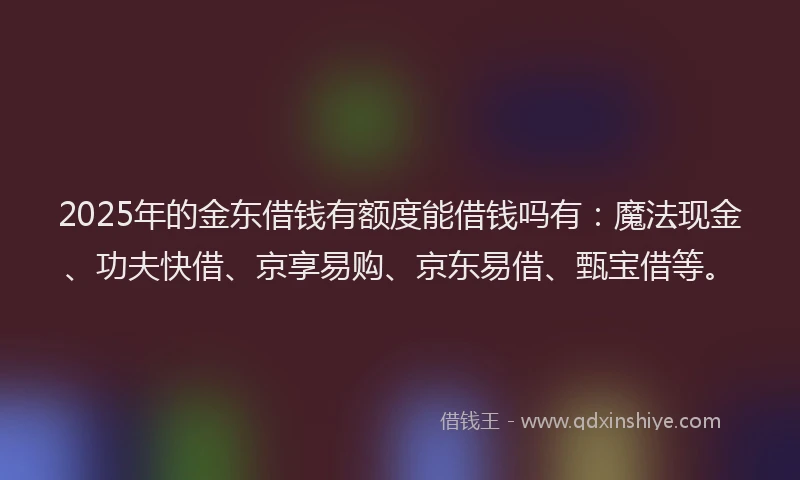 2025年的金东借钱有额度能借钱吗有：魔法现金、功夫快借、京享易购、京东易借、甄宝借等。