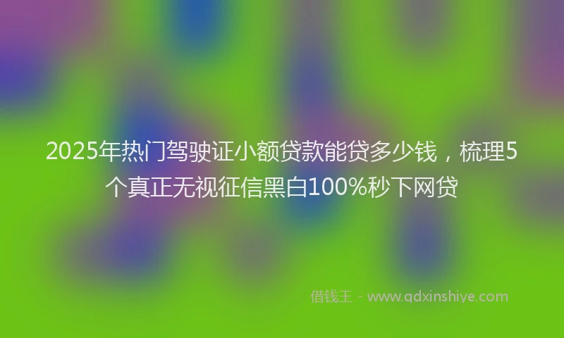 2025年热门驾驶证小额贷款能贷多少钱,梳理5个真正无视征信黑白100%秒下网贷