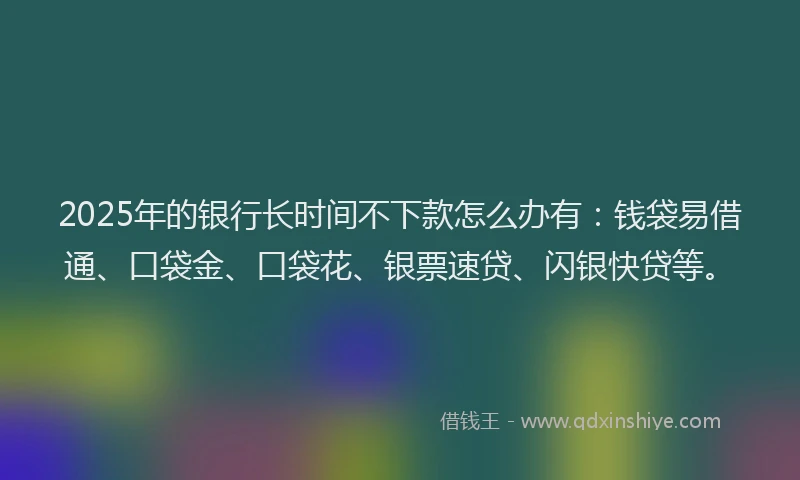 2025年的银行长时间不下款怎么办有：钱袋易借通、口袋金、口袋花、银票速贷、闪银快贷等。