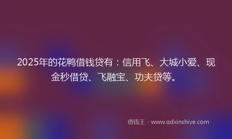 2025年的花鸭借钱贷有：信用飞、大城小爱、现金秒借贷、飞融宝、功夫贷等。