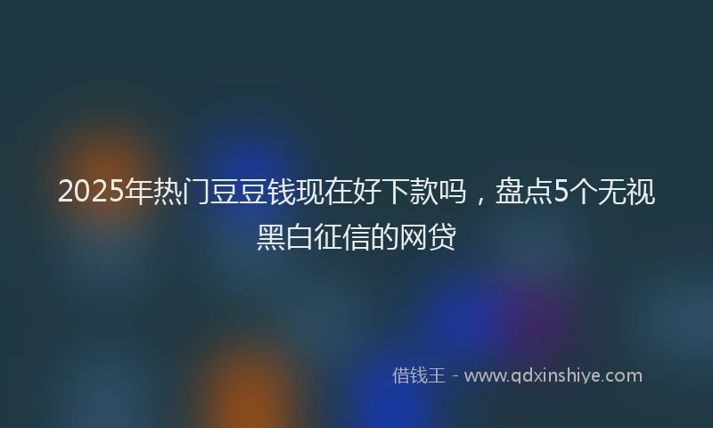 2025年热门豆豆钱现在好下款吗，盘点5个无视黑白征信的网贷