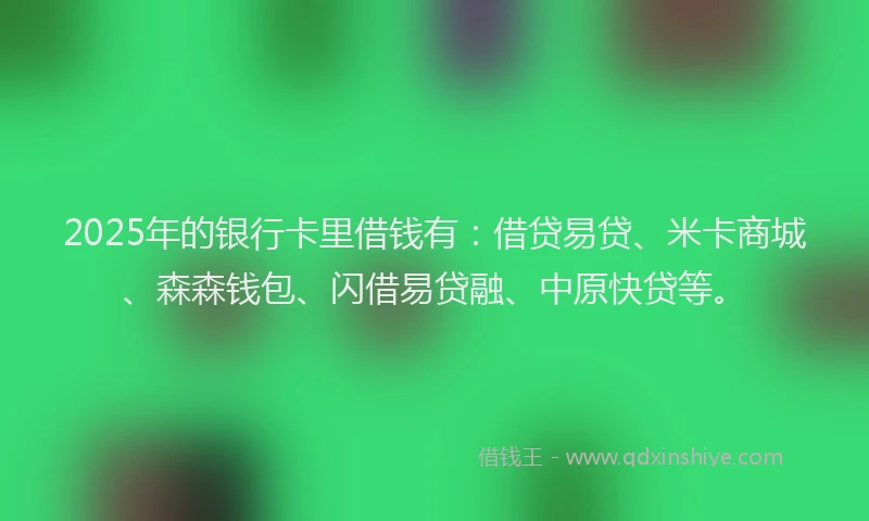 2025年的银行卡里借钱有:借贷易贷、米卡商城、森森钱包、闪借易贷融、中原快贷等。