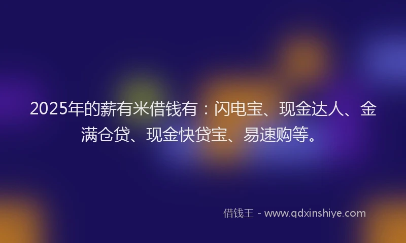 2025年的薪有米借钱有：闪电宝、现金达人、金满仓贷、现金快贷宝、易速购等。