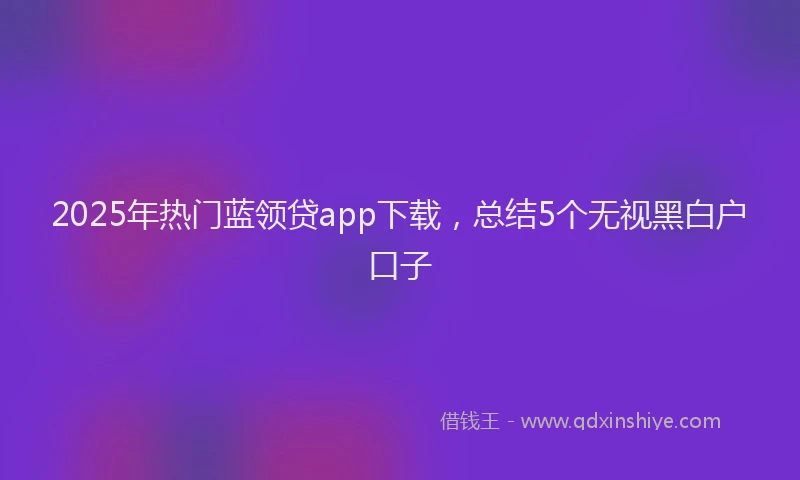 2025年热门蓝领贷app下载，总结5个无视黑白户口子