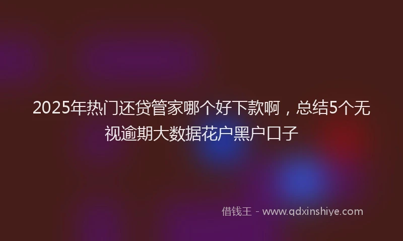 2025年热门还贷管家哪个好下款啊,总结5个无视逾期大数据花户黑户口子