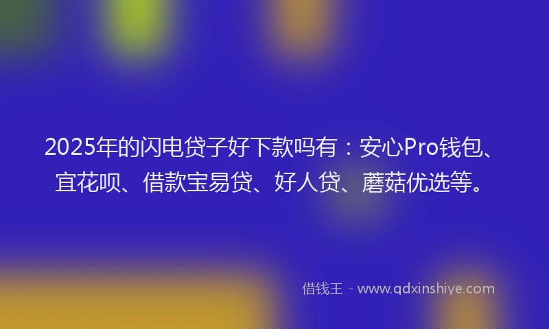 2025年的闪电贷子好下款吗有：安心Pro钱包、宜花呗、借款宝易贷、好人贷、蘑菇优选等。