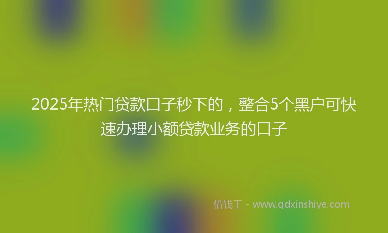 2025年热门贷款口子秒下的,整合5个黑户可快速办理小额贷款业务的口子
