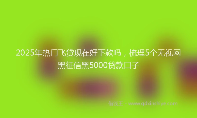 2025年热门飞贷现在好下款吗，梳理5个无视网黑征信黑5000贷款口子