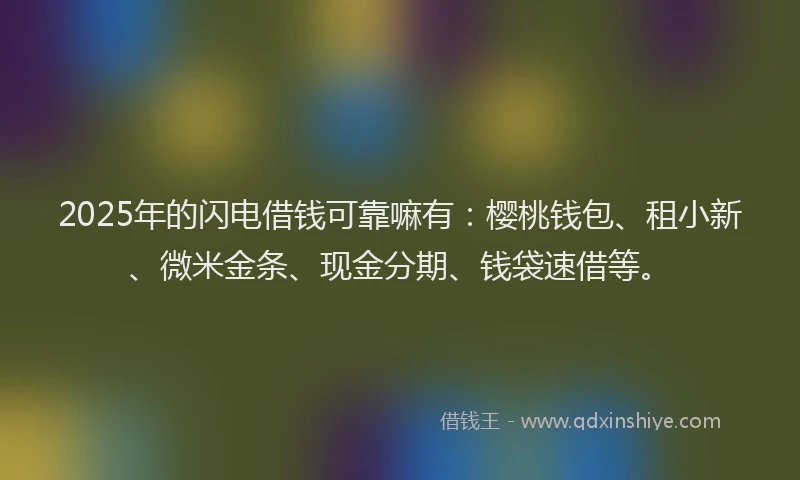 2025年的闪电借钱可靠嘛有：樱桃钱包、租小新、微米金条、现金分期、钱袋速借等。
