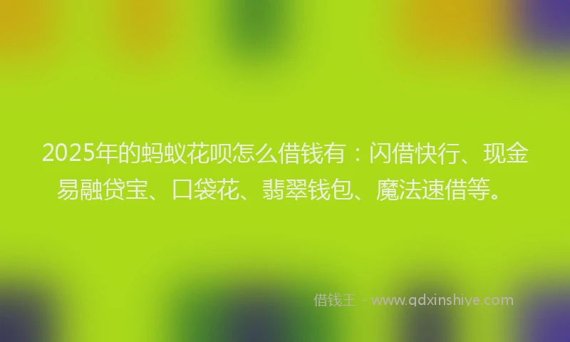 2025年的蚂蚁花呗怎么借钱有：闪借快行、现金易融贷宝、口袋花、翡翠钱包、魔法速借等。