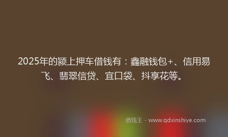 2025年的颍上押车借钱有：鑫融钱包+、信用易飞、翡翠信贷、宜口袋、抖享花等。