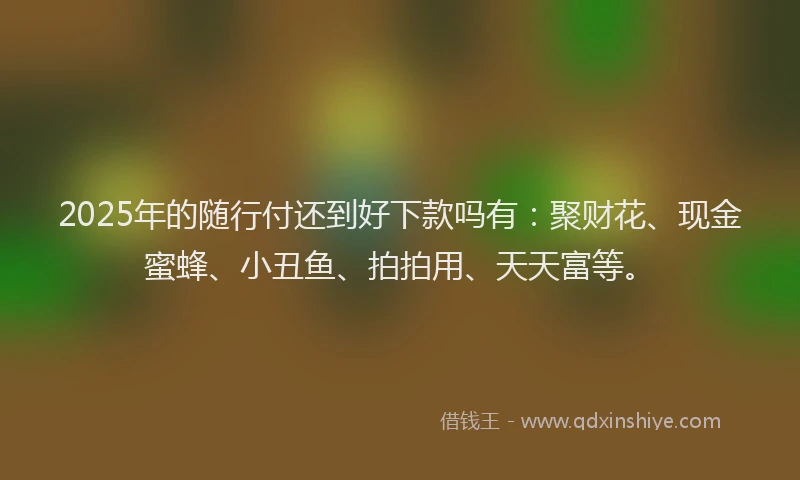 2025年的随行付还到好下款吗有:聚财花、现金蜜蜂、小丑鱼、拍拍用、天天富等。