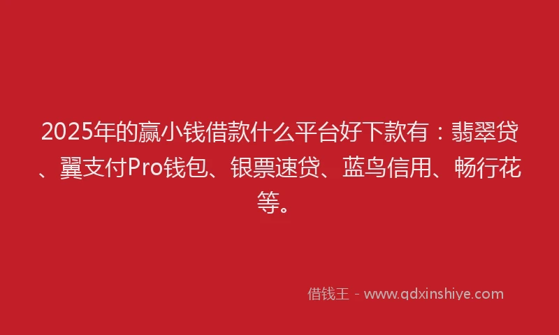 2025年的赢小钱借款什么平台好下款有：翡翠贷、翼支付Pro钱包、银票速贷、蓝鸟信用、畅行花等。