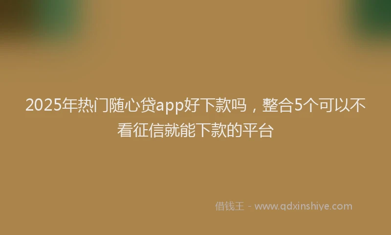 2025年热门随心贷app好下款吗，整合5个可以不看征信就能下款的平台