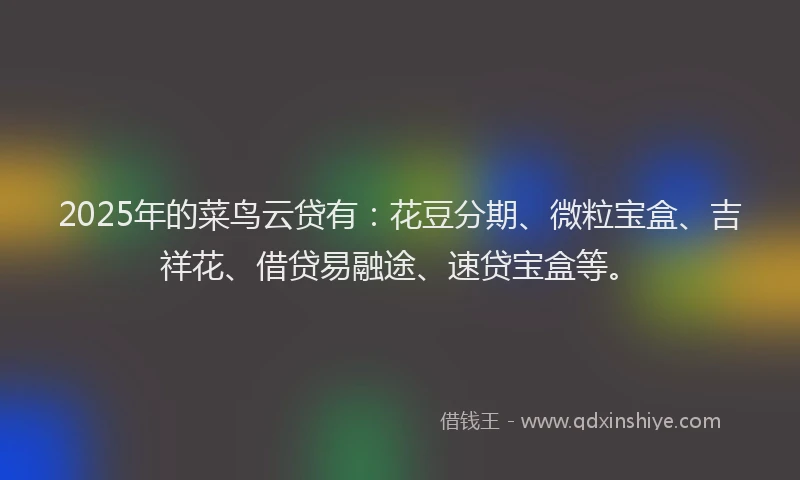 2025年的菜鸟云贷有：花豆分期、微粒宝盒、吉祥花、借贷易融途、速贷宝盒等。