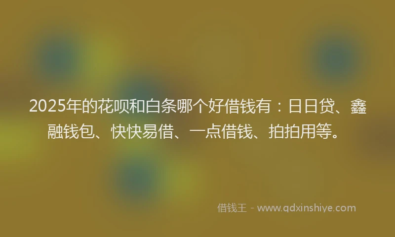 2025年的花呗和白条哪个好借钱有：日日贷、鑫融钱包、快快易借、一点借钱、拍拍用等。