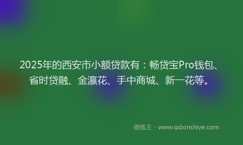 2025年的西安市小额贷款有：畅贷宝Pro钱包、省时贷融、金瀛花、手中商城、新一花等。