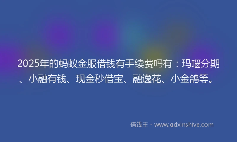 2025年的蚂蚁金服借钱有手续费吗有：玛瑙分期、小融有钱、现金秒借宝、融逸花、小金鸽等。