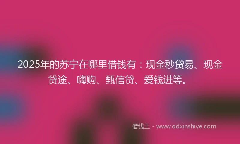 2025年的苏宁在哪里借钱有：现金秒贷易、现金贷途、嗨购、甄信贷、爱钱进等。