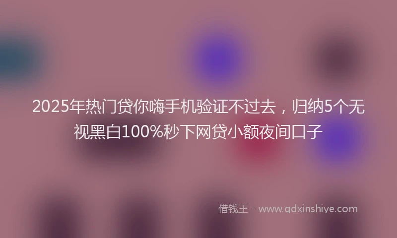 2025年热门贷你嗨手机验证不过去，归纳5个无视黑白100%秒下网贷小额夜间口子