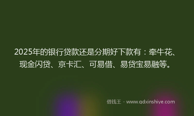 2025年的银行贷款还是分期好下款有：牵牛花、现金闪贷、京卡汇、可易借、易贷宝易融等。