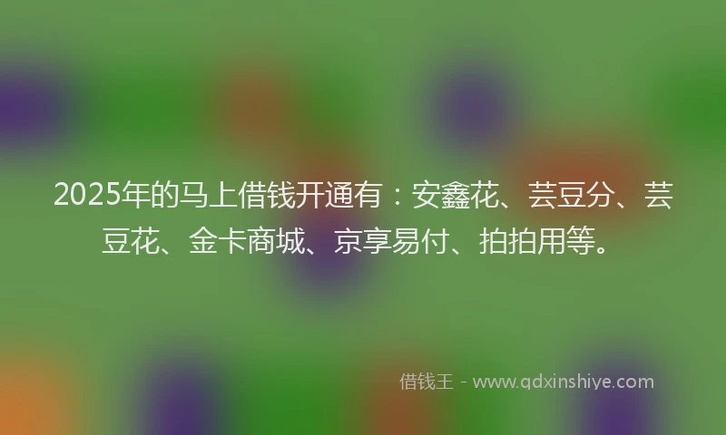 2025年的马上借钱开通有：安鑫花、芸豆分、芸豆花、金卡商城、京享易付、拍拍用等。