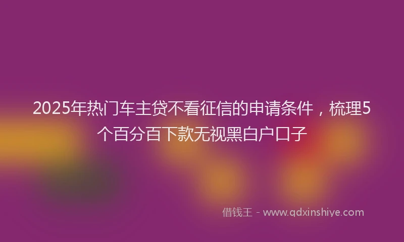 2025年热门车主贷不看征信的申请条件,梳理5个百分百下款无视黑白户口子