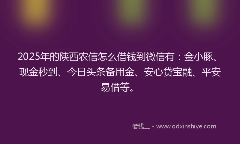 2025年的陕西农信怎么借钱到微信有：金小豚、现金秒到、今日头条备用金、安心贷宝融、平安易借等。