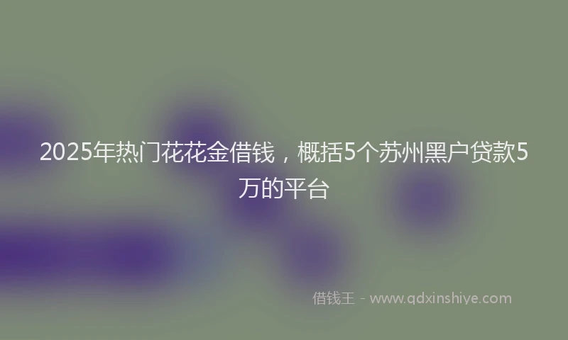 2025年热门花花金借钱,概括5个苏州黑户贷款5万的平台