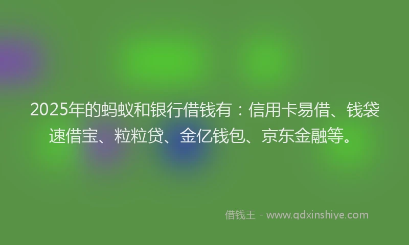 2025年的蚂蚁和银行借钱有:信用卡易借、钱袋速借宝、粒粒贷、金亿钱包、京东金融等。
