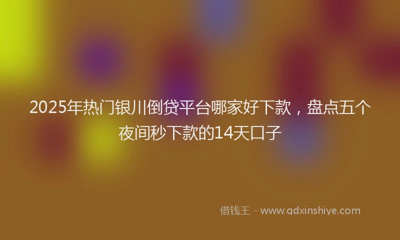 2025年热门银川倒贷平台哪家好下款,盘点五个夜间秒下款的14天口子