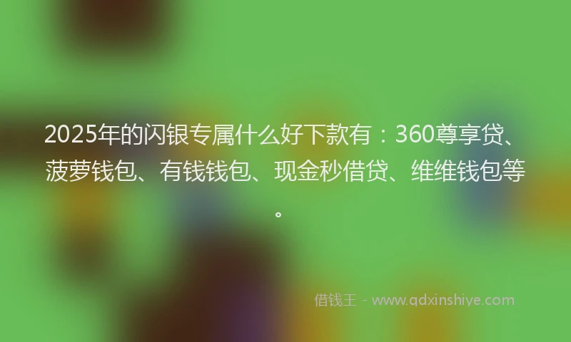 2025年的闪银专属什么好下款有：360尊享贷、菠萝钱包、有钱钱包、现金秒借贷、维维钱包等。