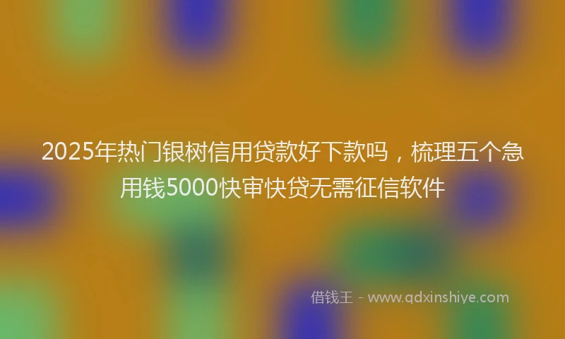 2025年热门银树信用贷款好下款吗，梳理五个急用钱5000快审快贷无需征信软件