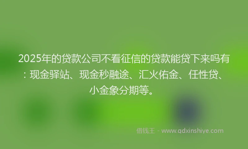 2025年的贷款公司不看征信的贷款能贷下来吗有:现金驿站、现金秒融途、汇火佑金、任性贷、小金象分期等。
