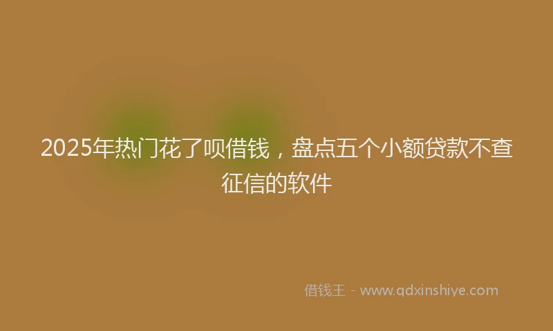 2025年热门花了呗借钱，盘点五个小额贷款不查征信的软件
