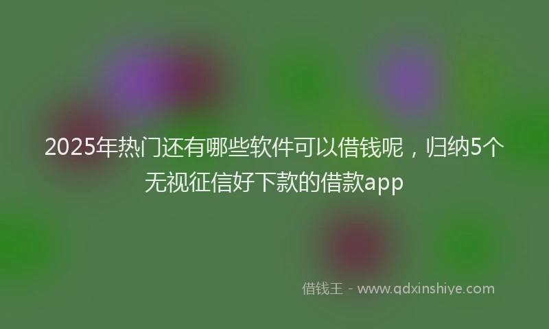 2025年热门还有哪些软件可以借钱呢,归纳5个无视征信好下款的借款app