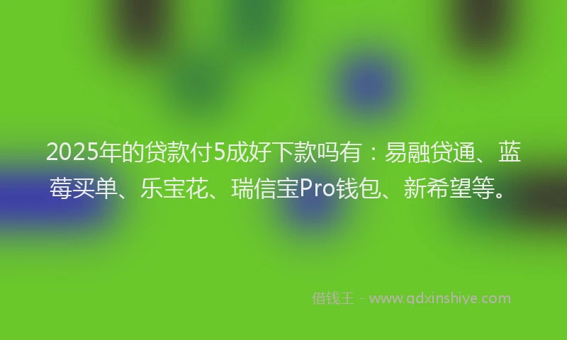 2025年的贷款付5成好下款吗有:易融贷通、蓝莓买单、乐宝花、瑞信宝Pro钱包、新希望等。