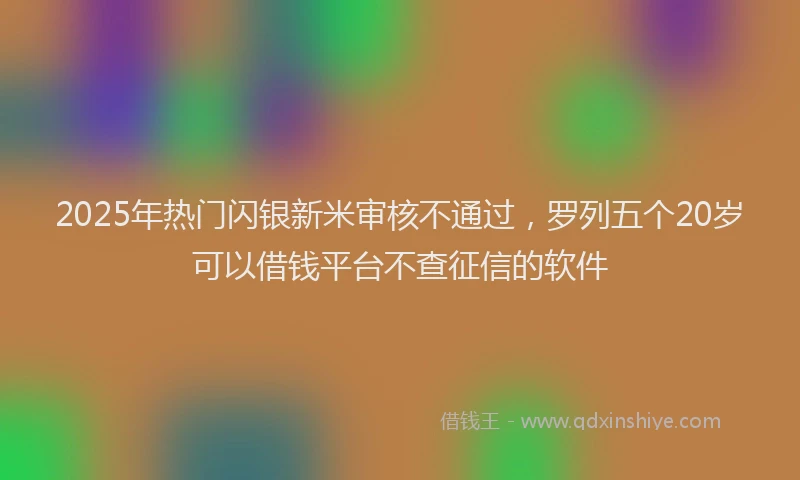 2025年热门闪银新米审核不通过,罗列五个20岁可以借钱平台不查征信的软件