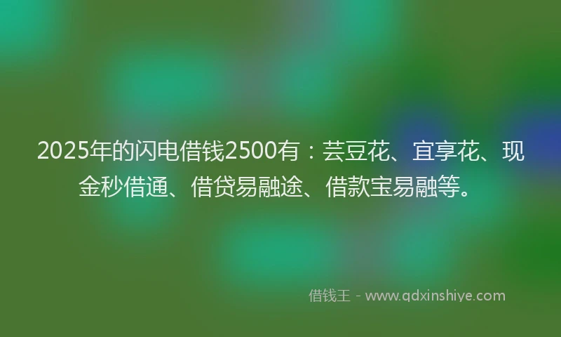 2025年的闪电借钱2500有：芸豆花、宜享花、现金秒借通、借贷易融途、借款宝易融等。