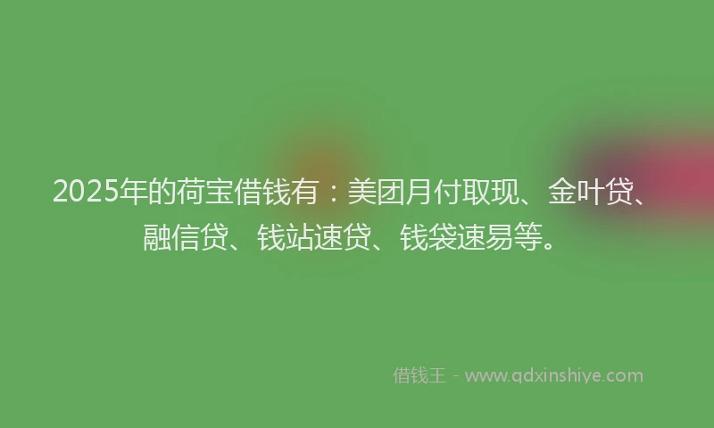 2025年的荷宝借钱有:美团月付取现、金叶贷、融信贷、钱站速贷、钱袋速易等。