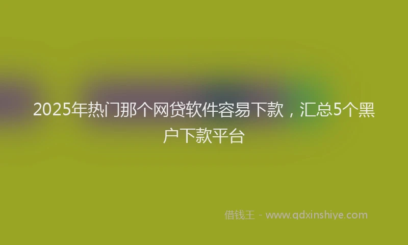 2025年热门那个网贷软件容易下款，汇总5个黑户下款平台