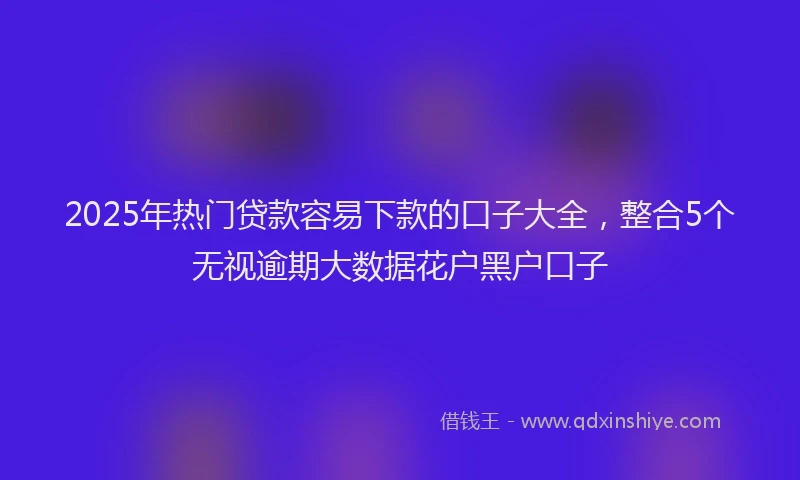 2025年热门贷款容易下款的口子大全,整合5个无视逾期大数据花户黑户口子