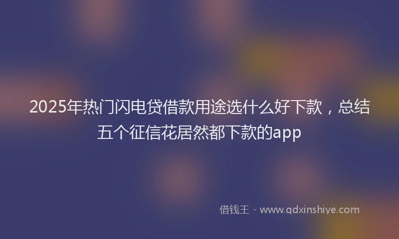 2025年热门闪电贷借款用途选什么好下款，总结五个征信花居然都下款的app