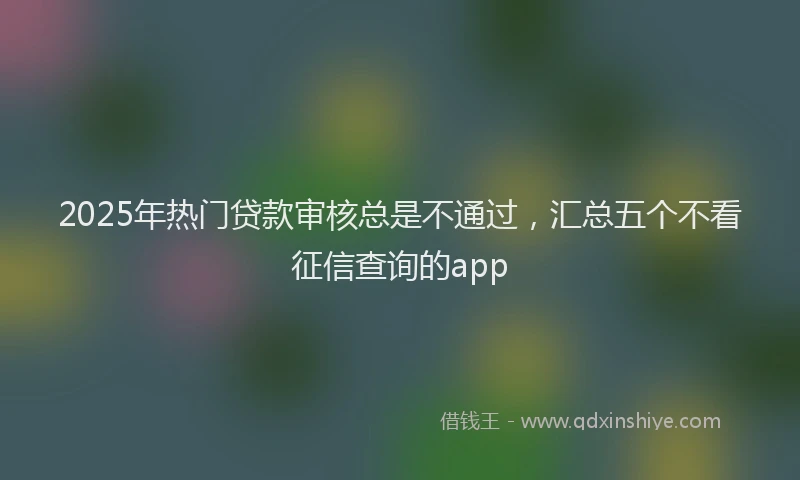 2025年热门贷款审核总是不通过,汇总五个不看征信查询的app