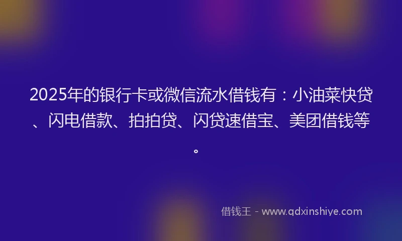 2025年的银行卡或微信流水借钱有:小油菜快贷、闪电借款、拍拍贷、闪贷速借宝、美团借钱等。