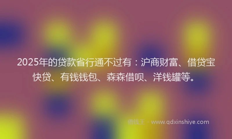 2025年的贷款省行通不过有：沪商财富、借贷宝快贷、有钱钱包、森森借呗、洋钱罐等。