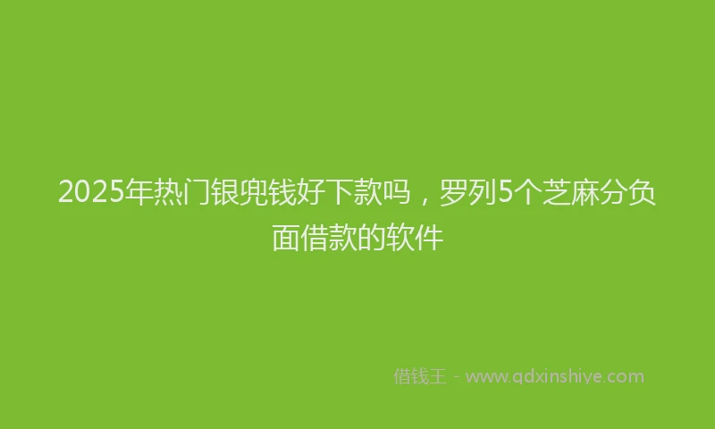 2025年热门银兜钱好下款吗，罗列5个芝麻分负面借款的软件